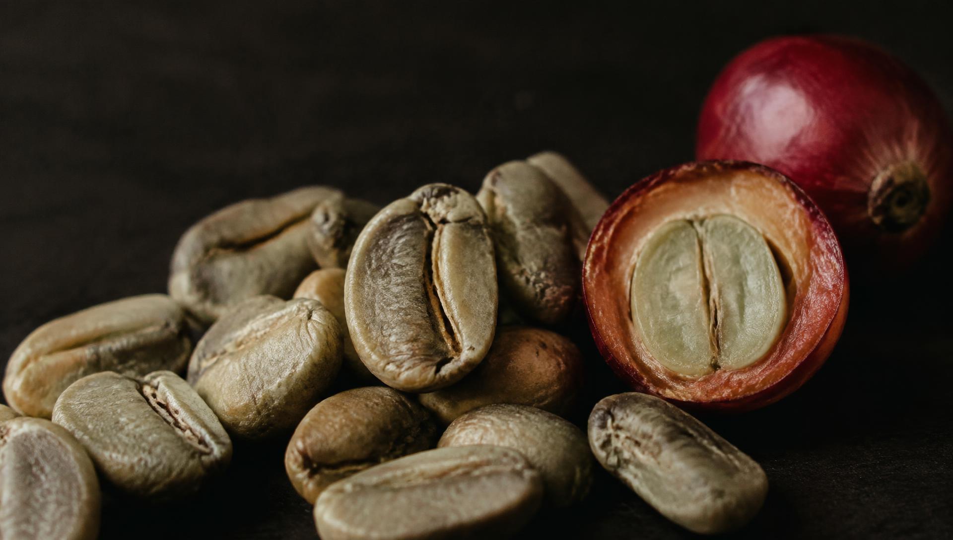 Green unroasted coffee beans beside a split coffee cherry revealing its seed